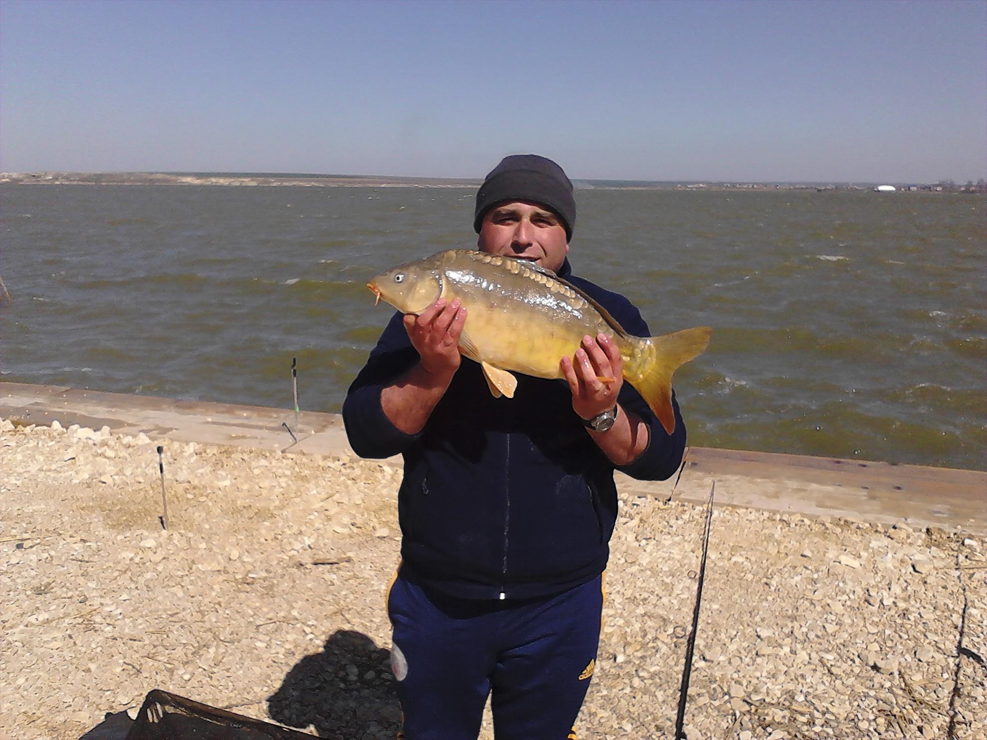 corbu - img201304171059380.jpg